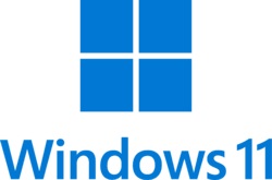 win 11